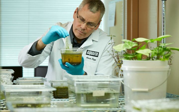 Kevin Ripp analyzing lab samples at Aquafix laboratories