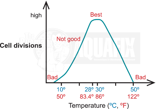 Wastewater Ammonia Control - Nitrifier Temperature