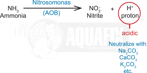 Wastewater Ammonia - Carbonate Alkalinity - Nitrifiers