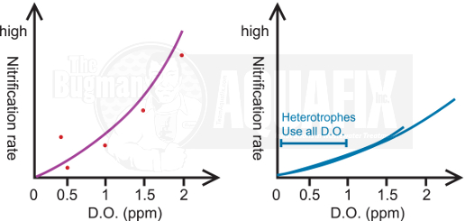 Dissolved Oxygen and Ammonia in Wastewater