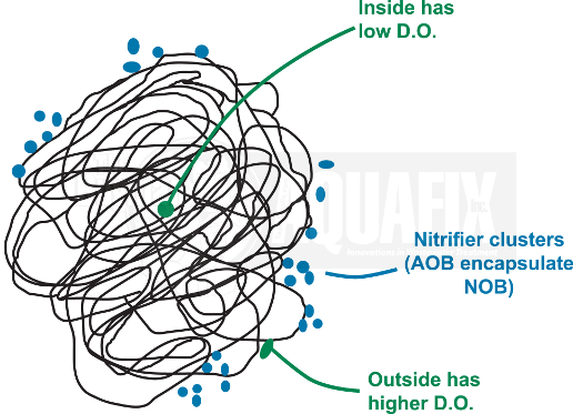 Ammonia Control and Floc Formation in Wastewater