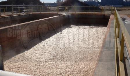 Grease that was pushed into WWTP