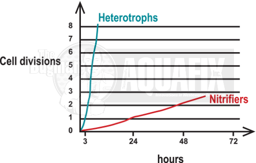 nitrifier_growth_graph_ammonia1