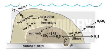 Hydrogen Sulfide Treatment H2s Gas In Wastewater Aquafix