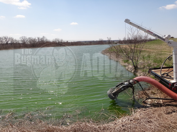 This Illinois Cheese plant has a Sequencing Batch Reactor (SBR) followed by an aerated lagoon system.   In February of 2013 their WWTP went down and 4,000# per day of waste went directly into this pond.   The lagoon was covered in ice and they knew the pond was going to stink once the ice melted.  They began feeding VitaStim Polar and Qwik-Zyme P to prevent odors and reduce the COD. On April 25,2013 there were no odors and the COD of the water was down to 60.   The operator was amazed!