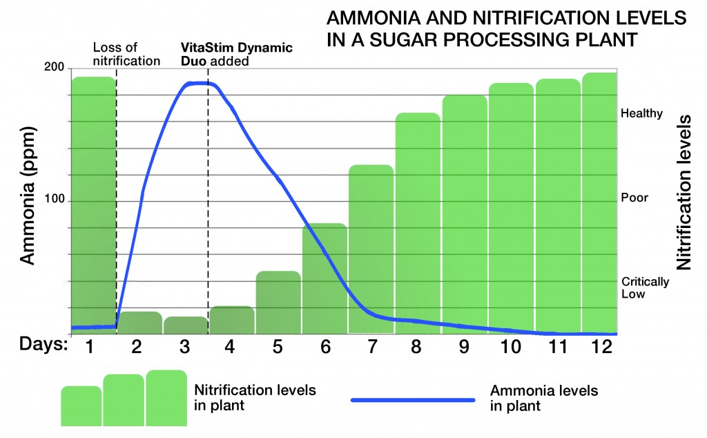 ammonia removal in wastewater treatment plant