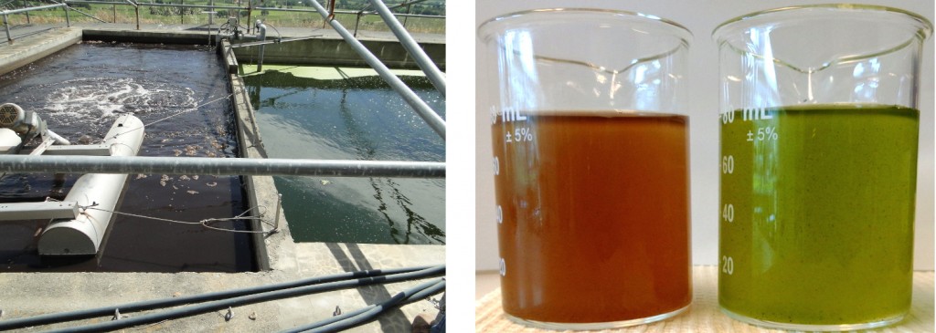 winery wastewater treatment