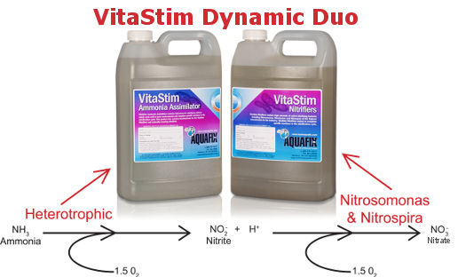 nitrification process using VitaStim Dynamic Duo