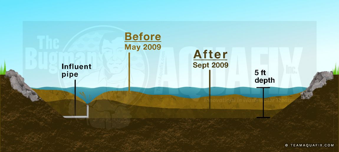 What causes an overloaded wastewater system?