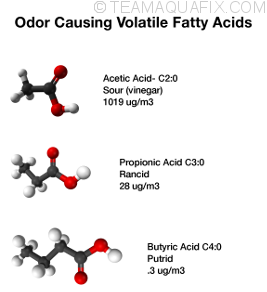 volatile-fatty-acids