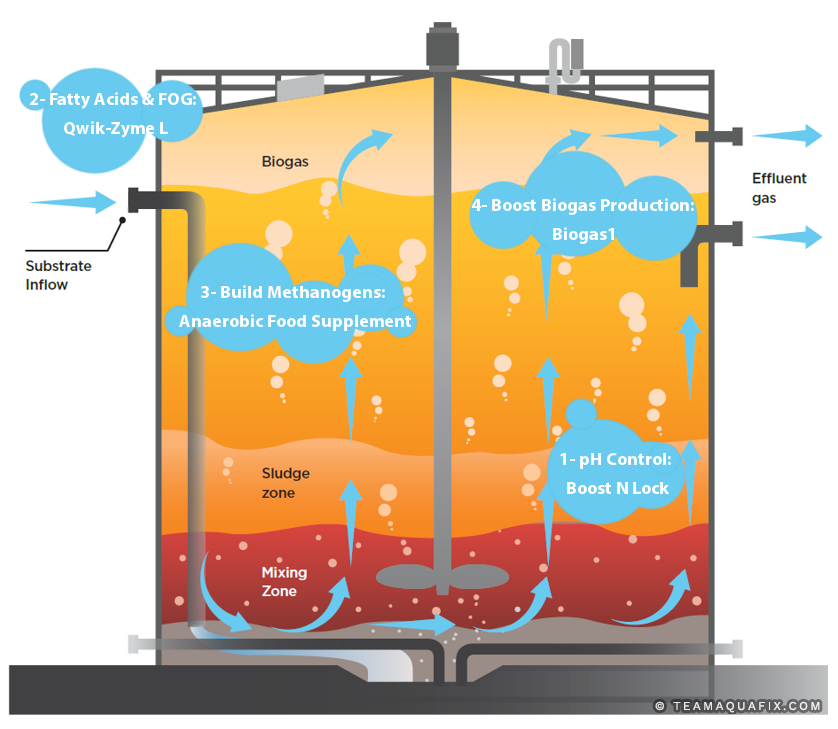 anaerobic-digester-with-arrows