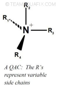 QAC-molecule