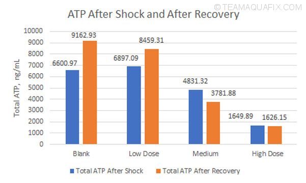 atp-after-shock-recovery