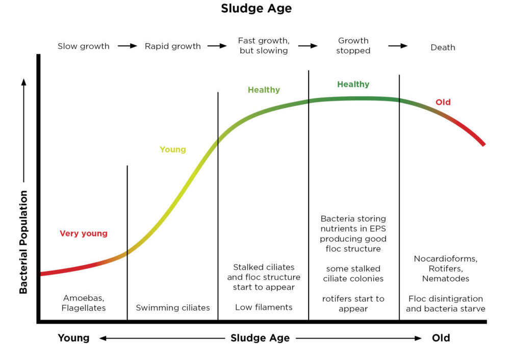 2019 Webinar: Wastewater Microbiology Basics