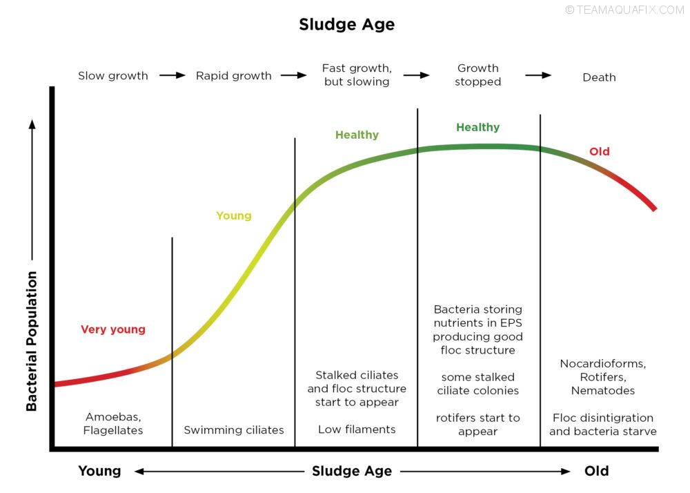 sludge-age-diagram