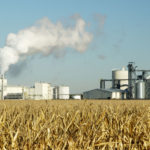 Corn Oils Used For Biofuels – Unique Application