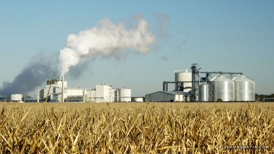 Corn Oils Used For Biofuels – Unique Application