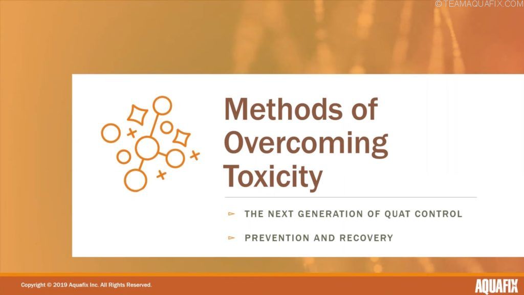 2020 Webinar: Quat, Toxicity and Wastewater Treatment