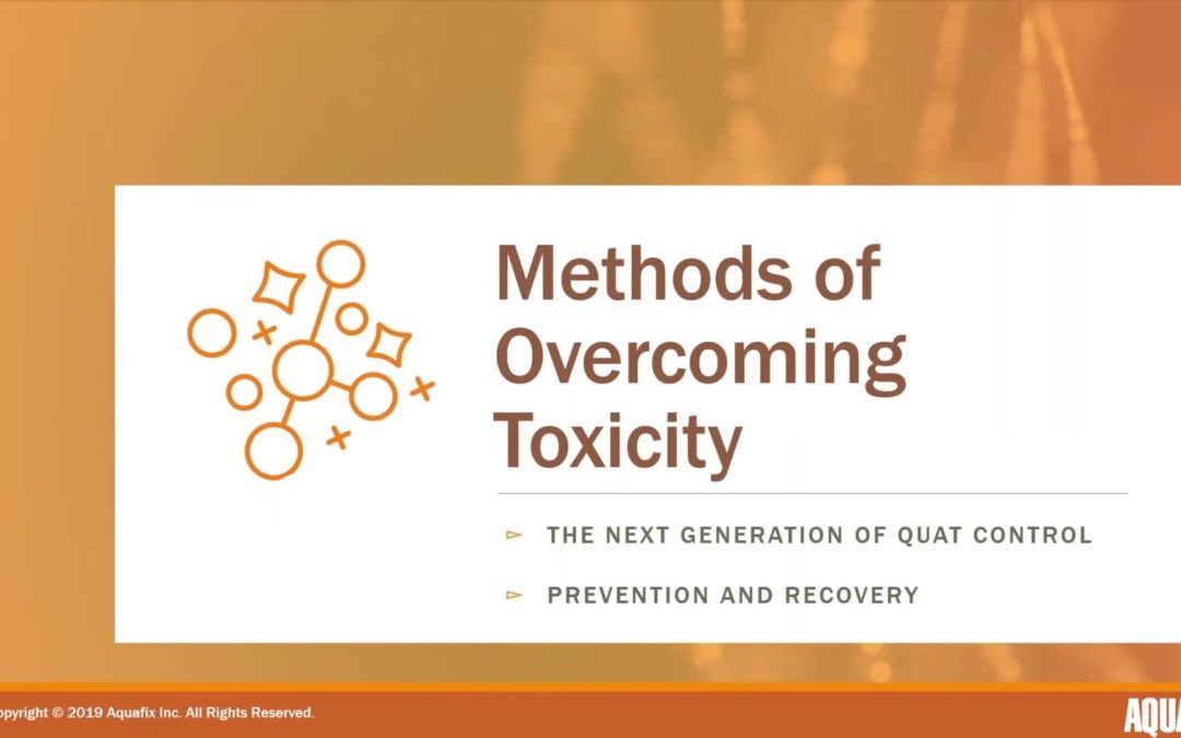 2020 Webinar: Quat, Toxicity and Wastewater Treatment