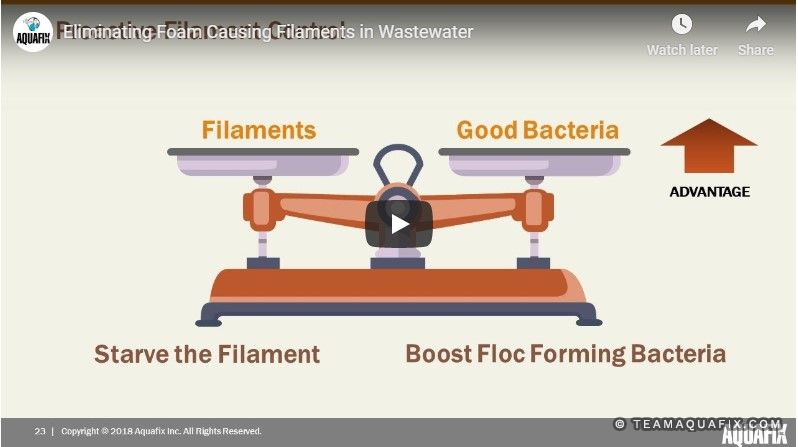 2019 Webinar: Eliminating Foam Causing Filaments