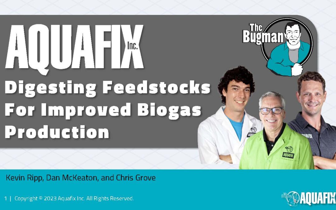 Digesting Feedstocks For Improved Biogas Production