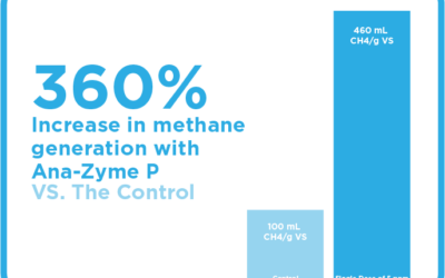 Ana-Zyme P: Impact on Anaerobic Lagoon in Meat Packing Plant