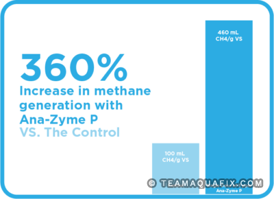 Ana-Zyme P: Impact on Anaerobic Lagoon in Meat Packing Plant