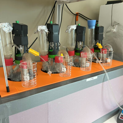 Anaerobic Optimization Study
