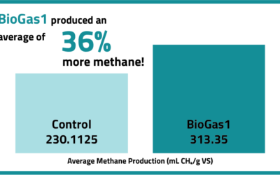 Impact of BioGas1 on Methane Production