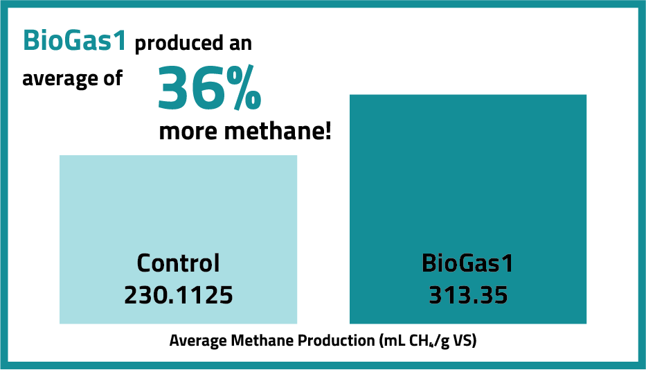 Impact of BioGas1 on Methane Production