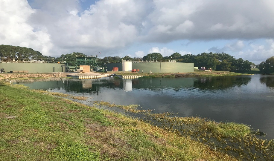 Algae Growth in Direct Effluent Pond Case Study