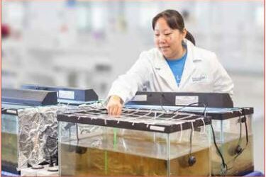 Aquafix Laboratories Sludge Reduction Testing