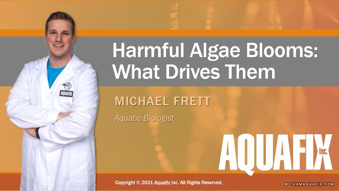 Webinar: Floraciones de algas nocivas: qué las provoca