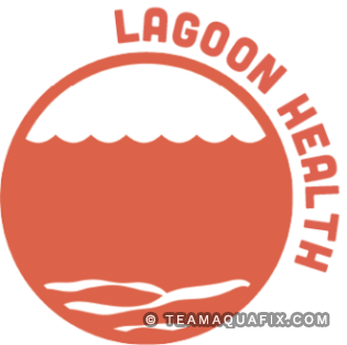 Lagoon sludge wastewater removal