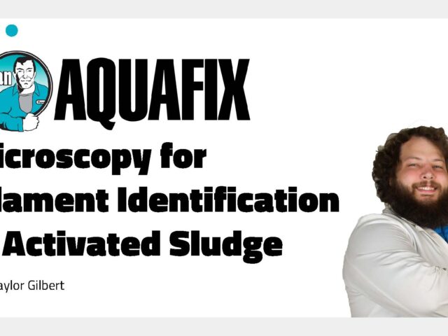 Aquafix University 2025: Microscopy for Filament Identification in Activated Sludge