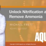 Webinar: Unlock Nitrification & Remove Ammonia