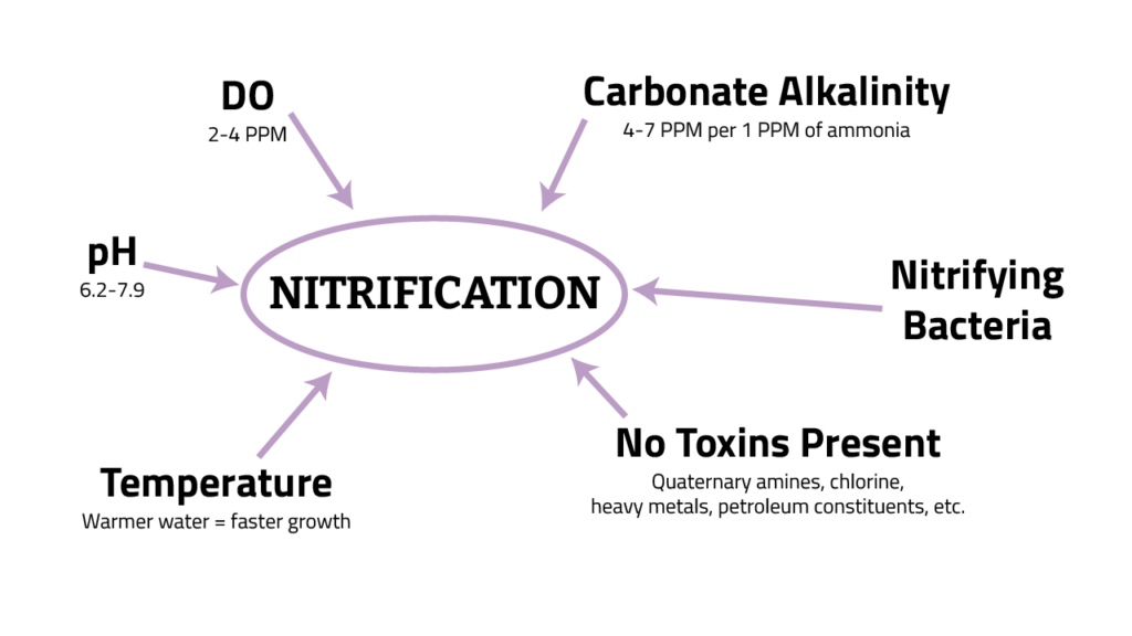 Nitrification in Cold Weather