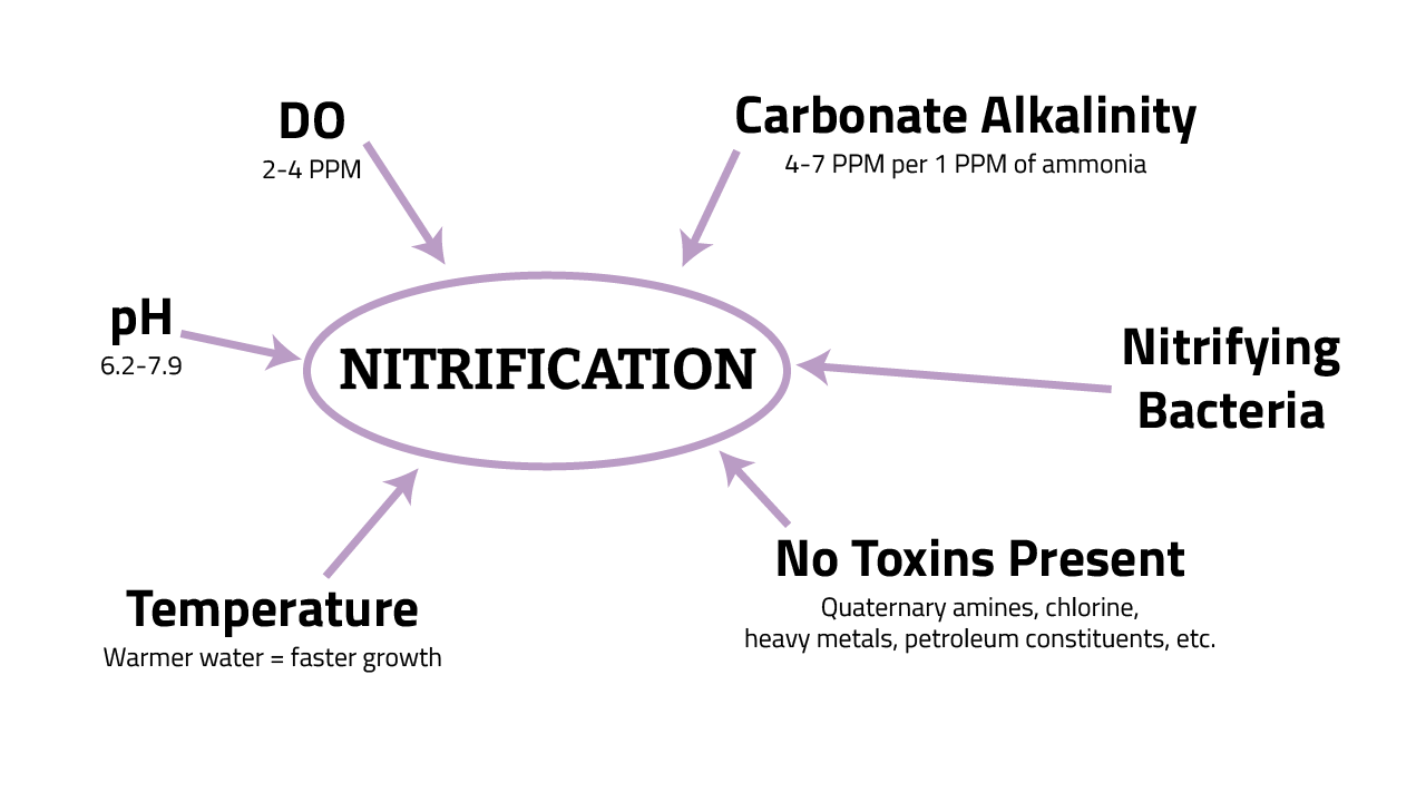 nitrification-wheel