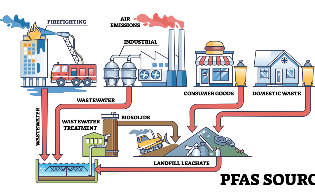 Protected: PFAS: Forever Chemicals, Real Problems
