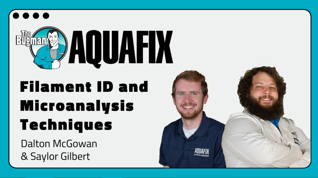 Filament ID and Microanalysis Techniques Webinar