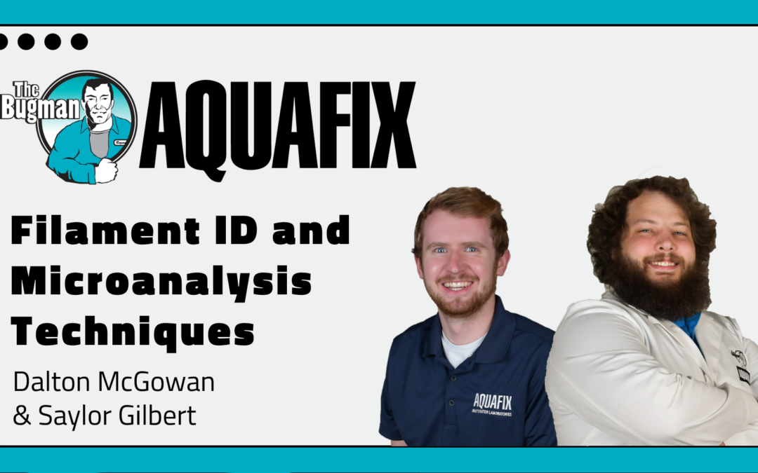 Filament ID and Microanalysis Techniques Webinar