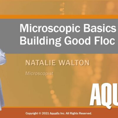 Webinar: Microscopic Basics to Building Good Floc