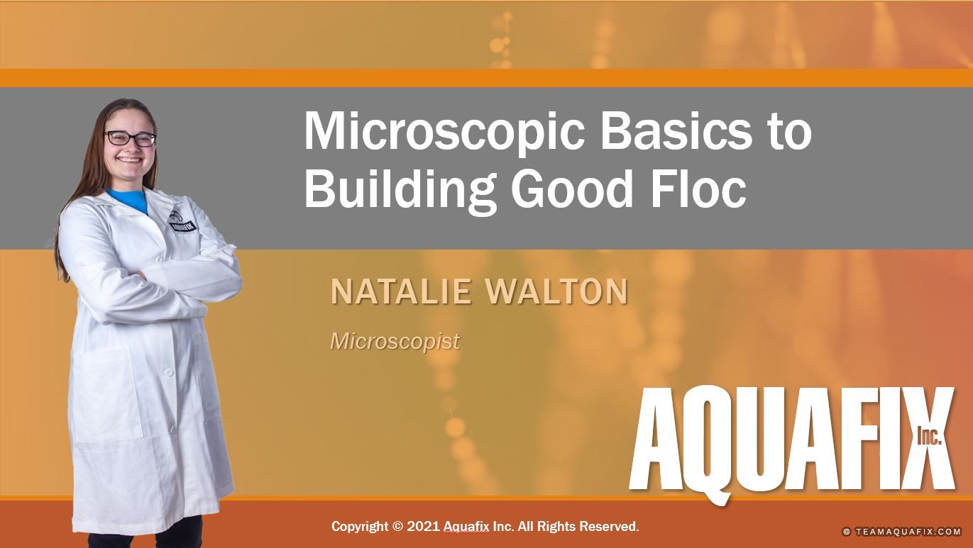 Webinar: Fundamentos microscópicos para crear un buen floc