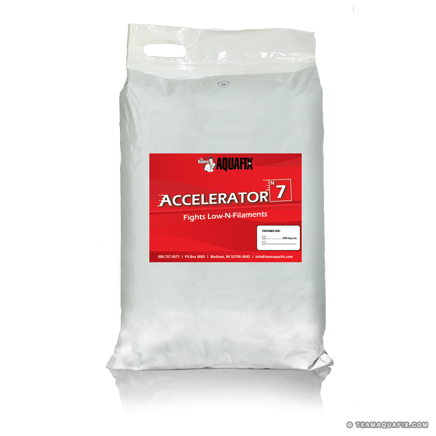 Accelerator 7