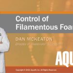 Webinar: Nocardia and Microthrix – Key Drivers and Control