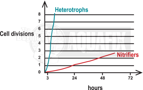 graph portraying nitrifying growth in sugar processing plant