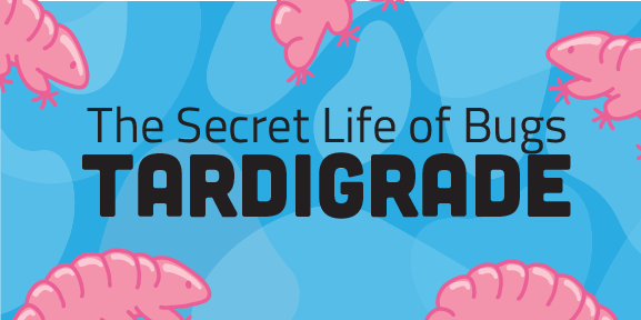 Secret Life of Bugs: Tardigrade