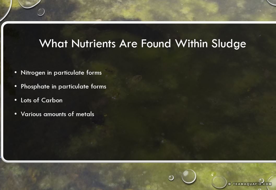 Webinar: Reducción de lodos en lagunas de aguas residuales