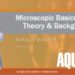 Webinar: Microscopic Basics in Theory