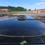 Nitrogen Deficiency and its Affect on Floc Formation and Sludge Dewatering